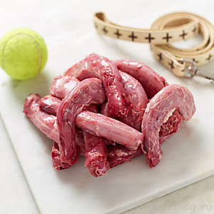 ШЕИ КУРИНЫЕ