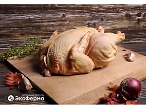 КУРЫ КУКУРУЗНЫЙ ОТКОРМ ФЕРМЕРСКИЕ